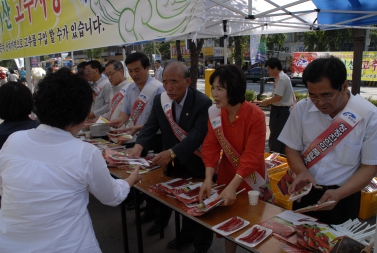 2008 마이산 고추시장 개장 캠페인